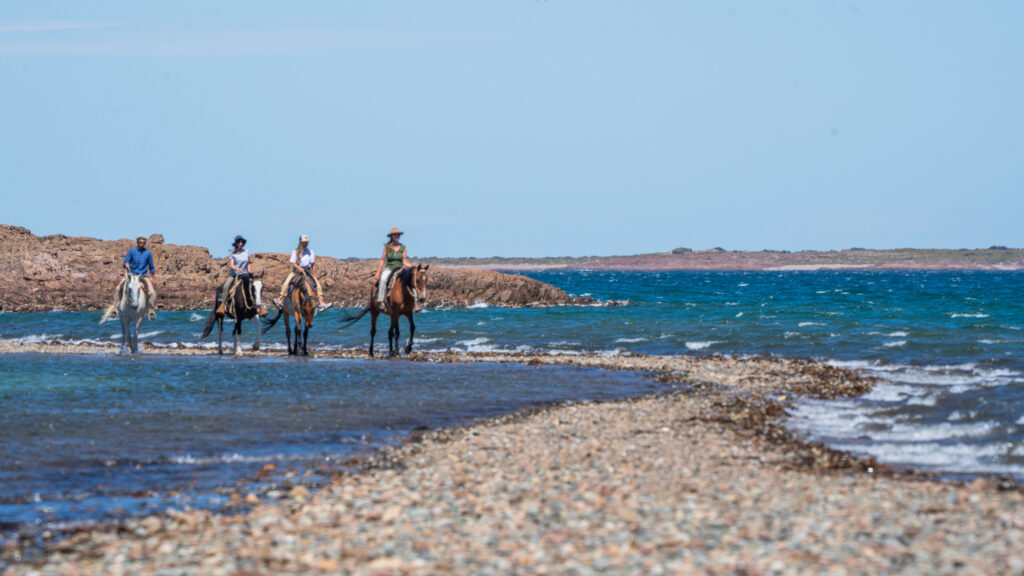 centro de interpretacion